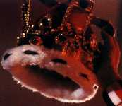 kayo's Queen Fan Club